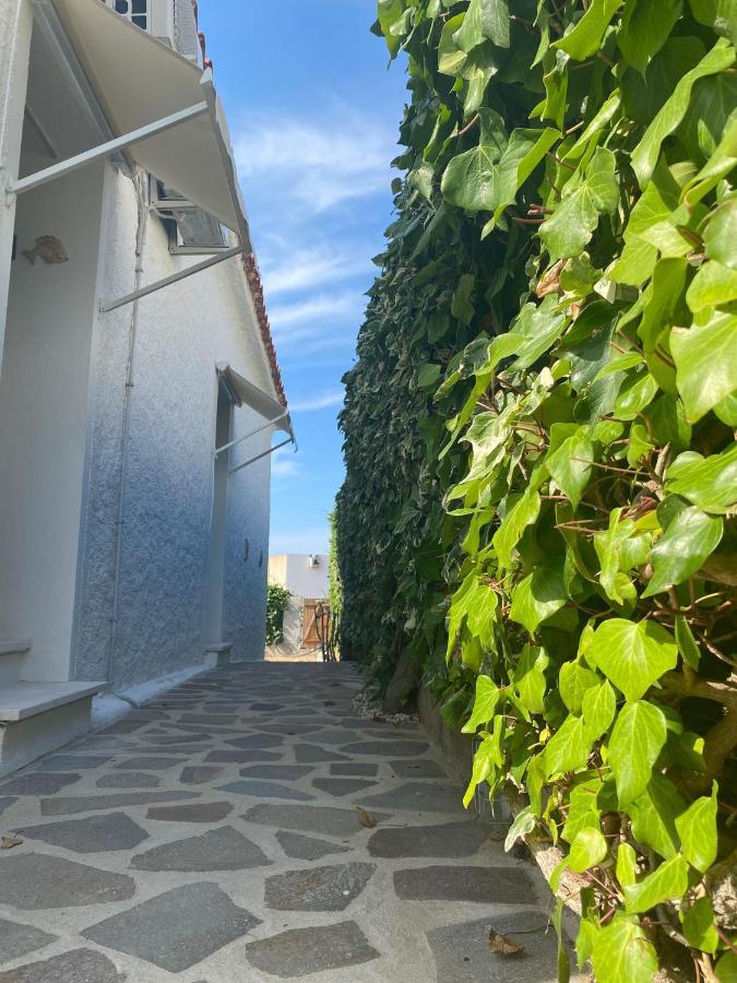 B&B A Due Passi Dal Mare Baja Sardinia Zewnętrze zdjęcie